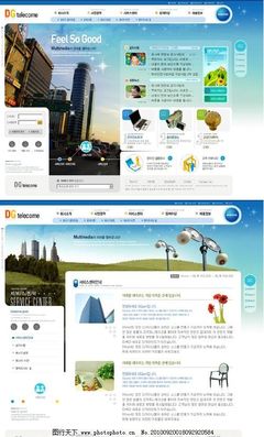 房地產(chǎn)建設(shè)公司網(wǎng)站版面設(shè)計(jì)與圖片策略