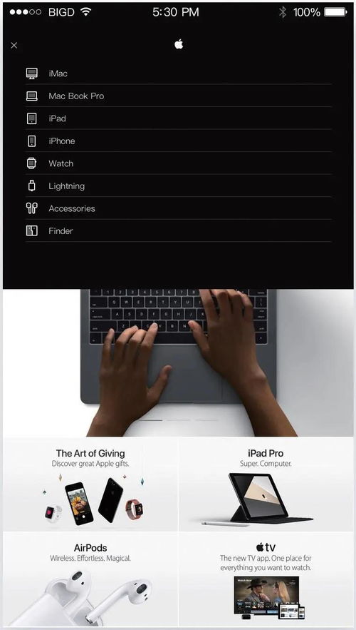 網(wǎng)頁(yè)與網(wǎng)站設(shè)計(jì)的UI分類全解析 你掌握了嗎？